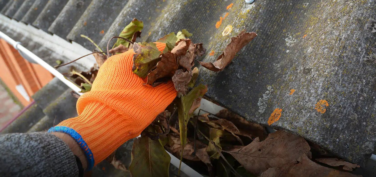Gutter Cleaning roof gutter cleaning safety tips blog feature