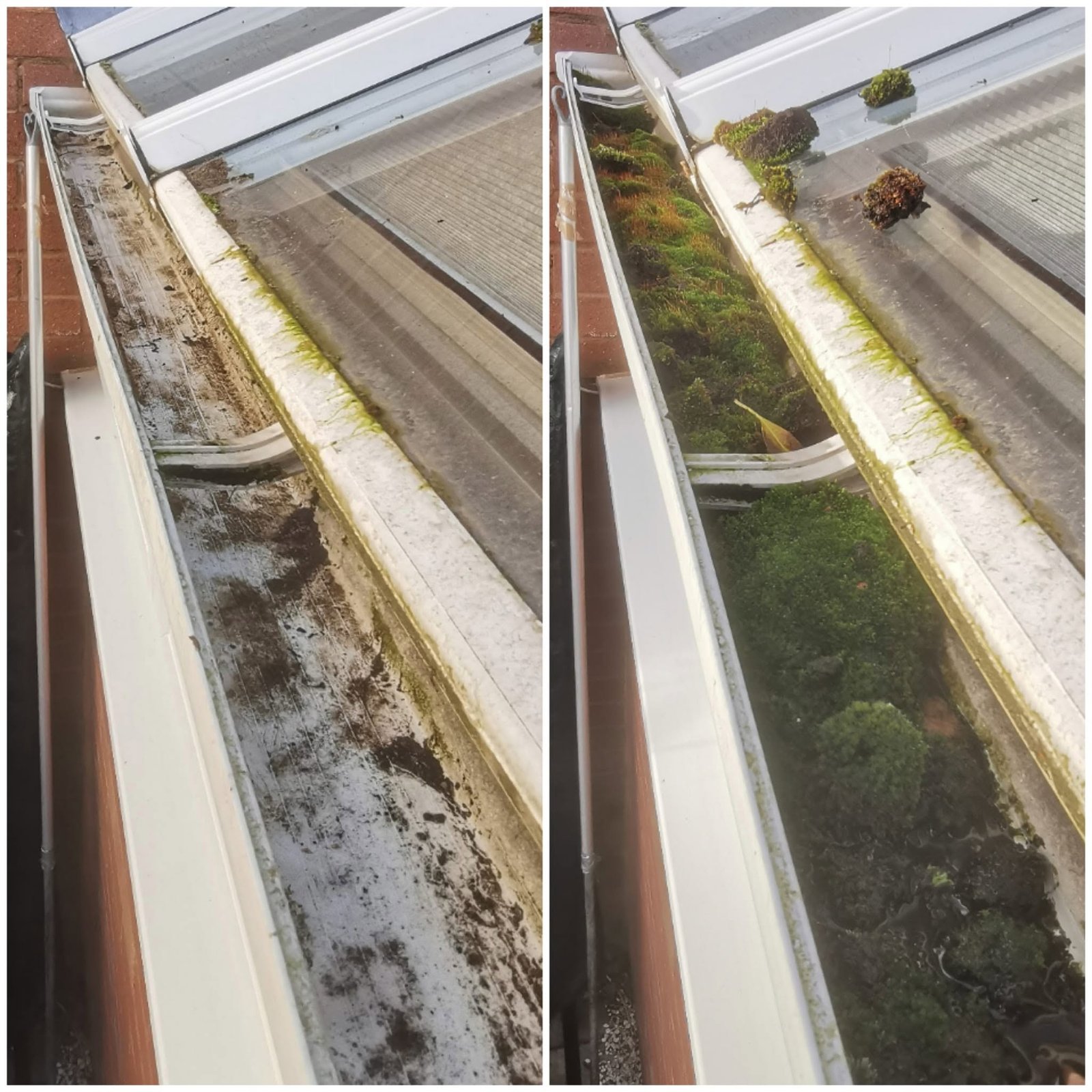Gutter Cleaning w6