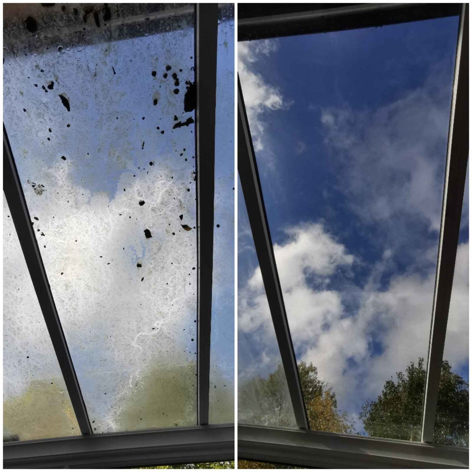 Interior Window Cleaning w8